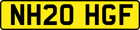NH20HGF