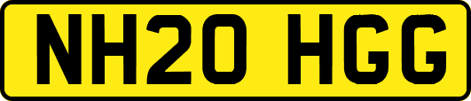 NH20HGG