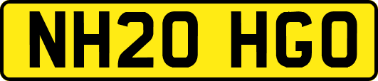 NH20HGO