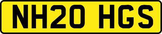 NH20HGS