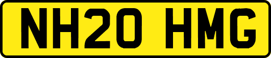 NH20HMG