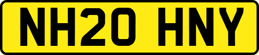 NH20HNY