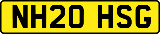 NH20HSG