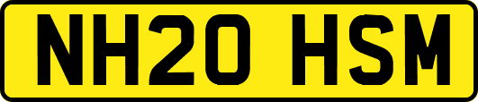 NH20HSM
