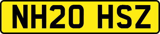 NH20HSZ