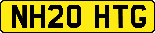 NH20HTG