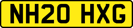NH20HXG