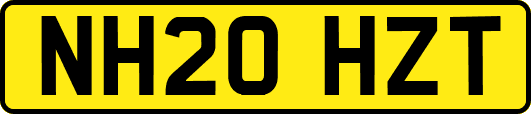NH20HZT