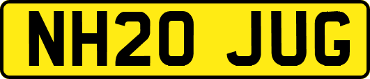 NH20JUG