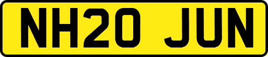 NH20JUN