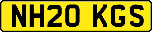 NH20KGS