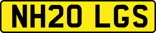 NH20LGS