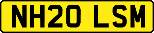 NH20LSM