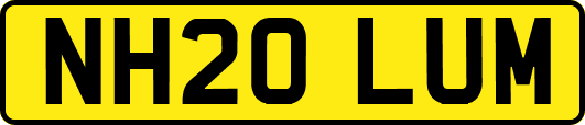 NH20LUM