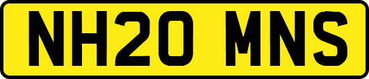 NH20MNS