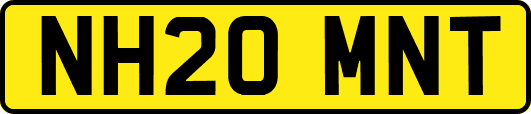 NH20MNT
