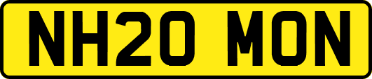 NH20MON