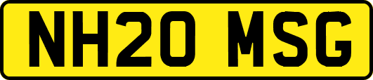 NH20MSG