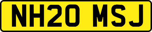 NH20MSJ