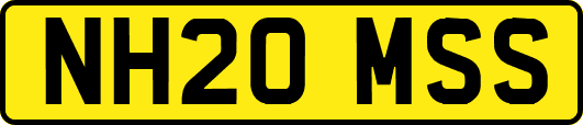 NH20MSS