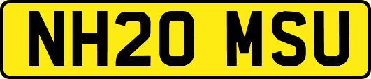 NH20MSU