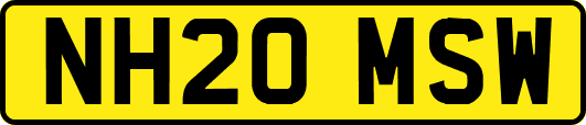 NH20MSW