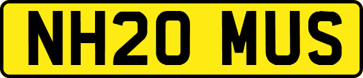 NH20MUS
