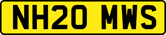 NH20MWS