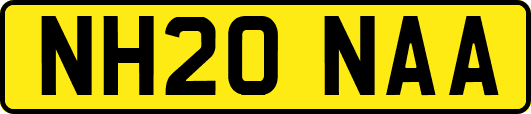 NH20NAA