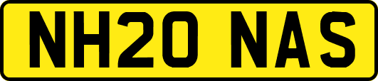 NH20NAS