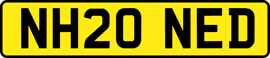 NH20NED