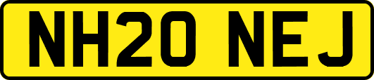 NH20NEJ