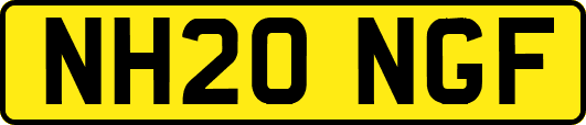 NH20NGF