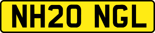 NH20NGL