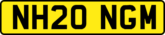 NH20NGM