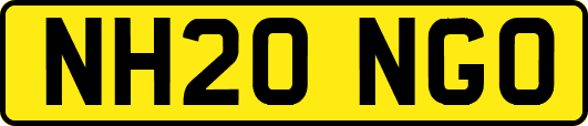 NH20NGO