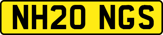 NH20NGS