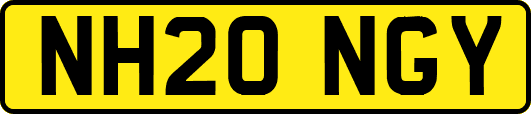 NH20NGY