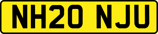 NH20NJU