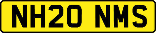NH20NMS