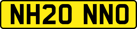 NH20NNO