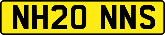 NH20NNS