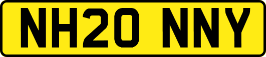NH20NNY