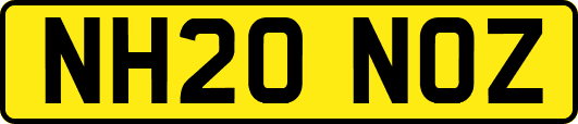 NH20NOZ