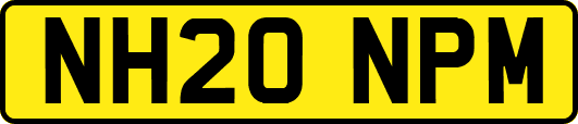 NH20NPM