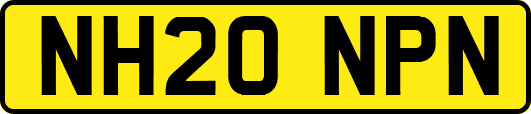 NH20NPN