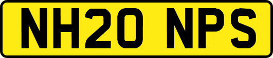 NH20NPS
