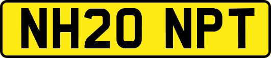 NH20NPT