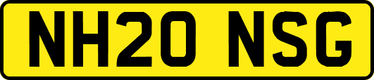 NH20NSG