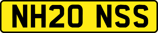 NH20NSS